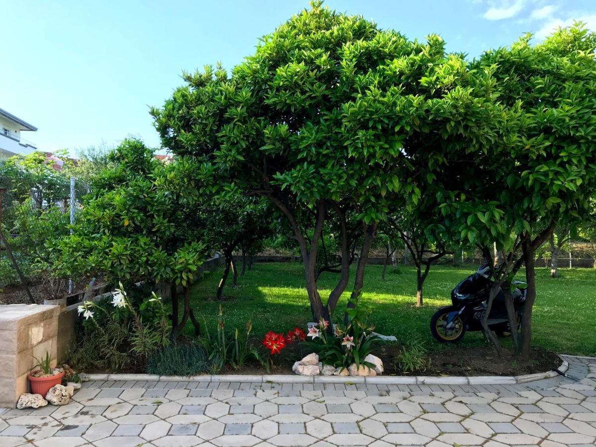 Apartments Kraja Ulcinj Exterior photo