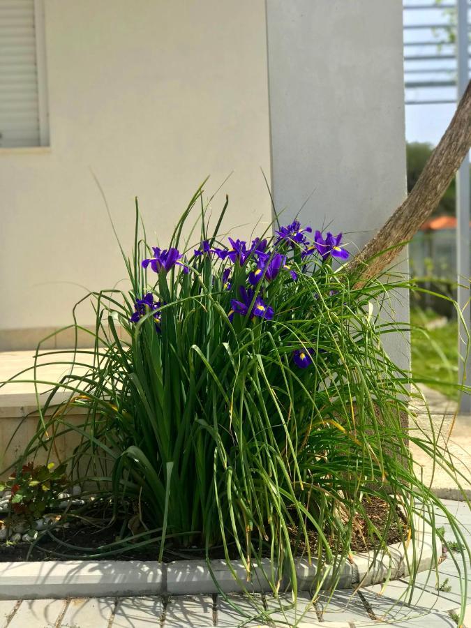 Apartments Kraja Ulcinj Exterior photo